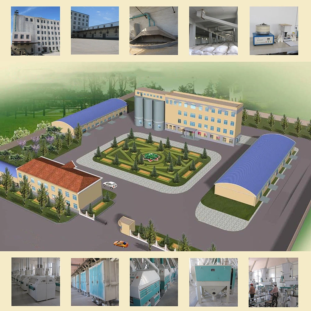 200t diarias molino de harina de trigo de molienda de grano equipo