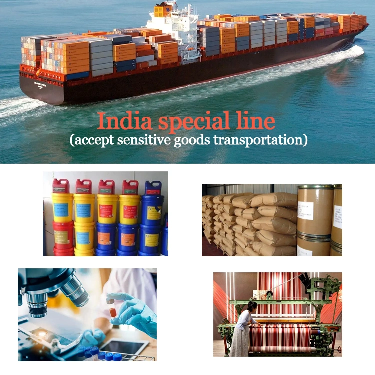 Air/Sea Shipping Service From. China to Asia India Chennai, Bombay, New Delhi Cargo Door to Door Service