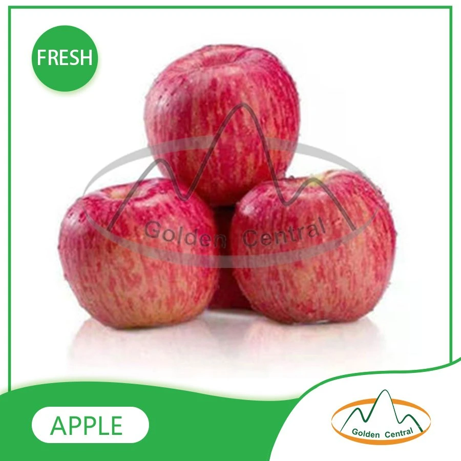 Mayorista fresco delicioso Nuevo Tipo de Apple delicioso mercado de frutas de exportación