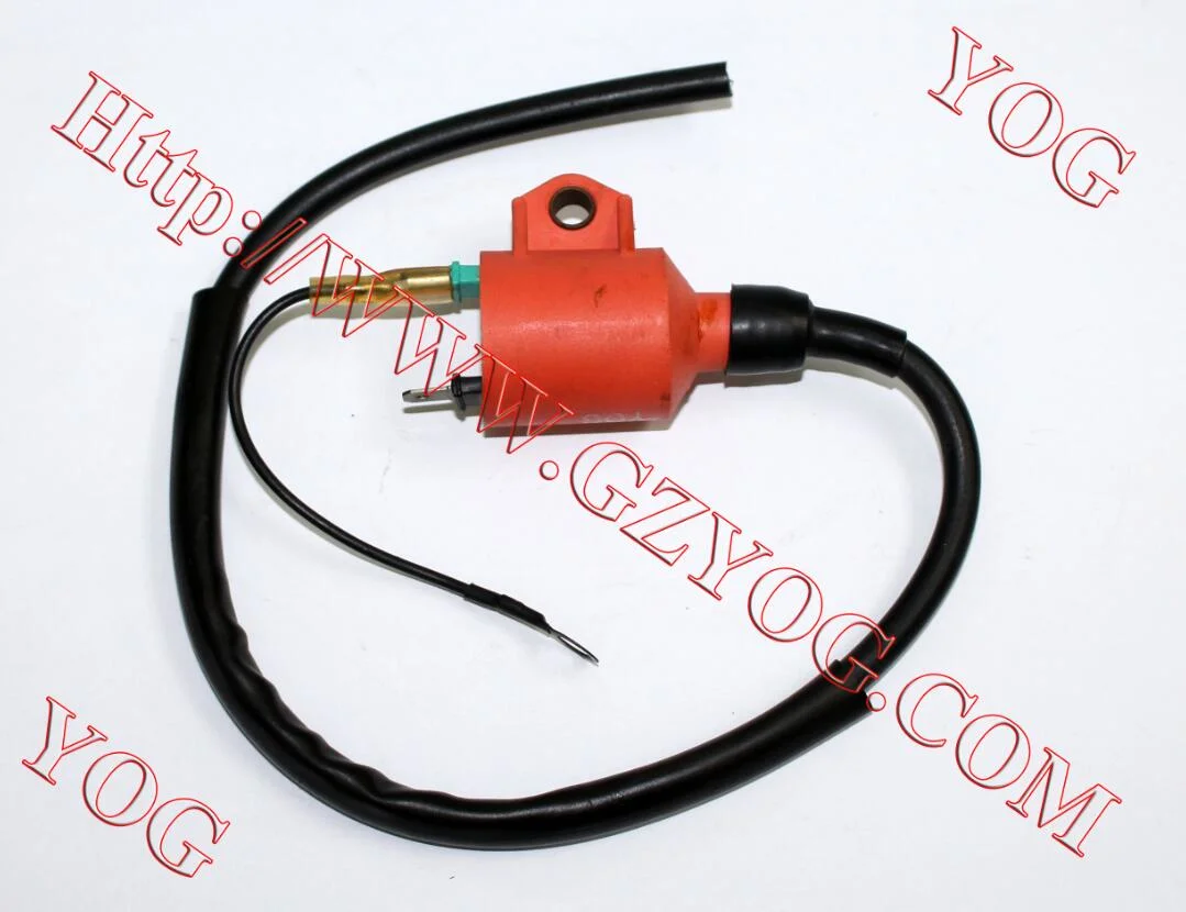 Motorcycle Parts Ignition Coil for 125cc