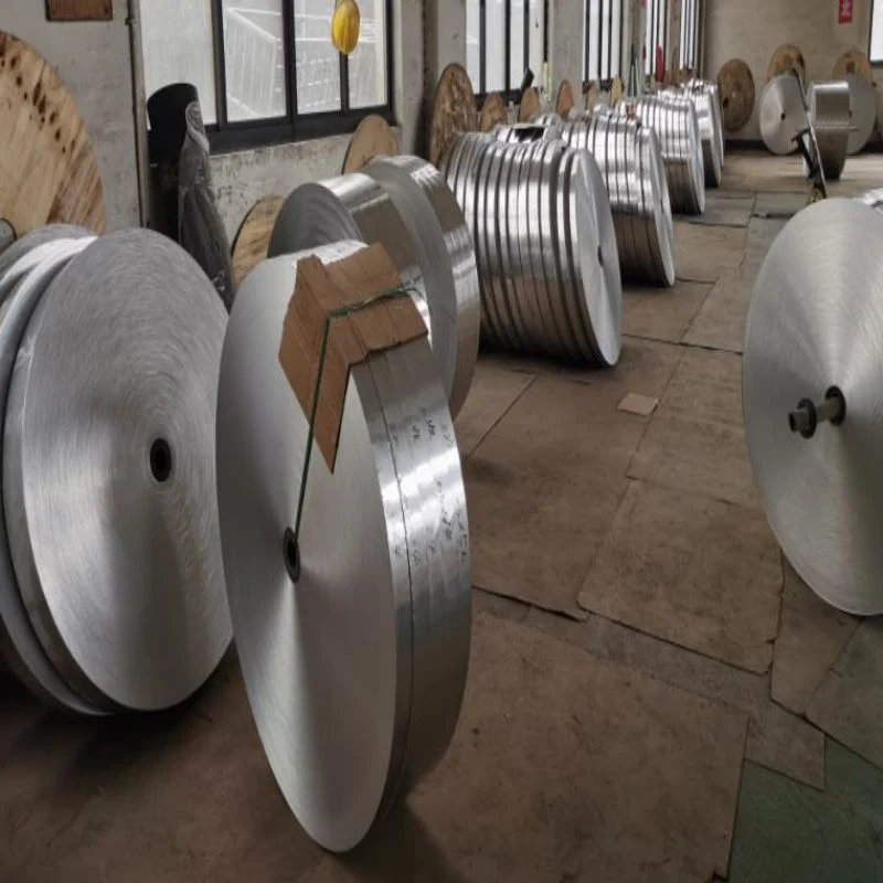 Aluminum/Alloy/Copper Stripss314 310S Coil Sheet Hot Cold Rolled Stainless Steel Strip