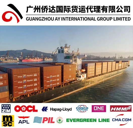 1688 Wholesale/Supplier Shipping Agent to Canada with Yiwu Export Company/Guagnzhou Freight Forwarder