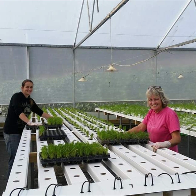 Invernadero hidropónico Nft interiores Vertical Sistema de canales para verduras