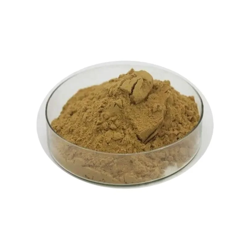 Herbal Extract Organic Polyporus Umbellatus Extract