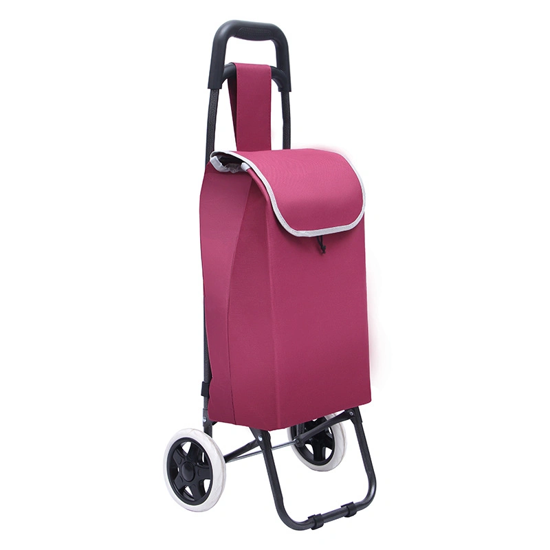 600d Outdoor Folding Shopping Bag Trolley (JT-G35)