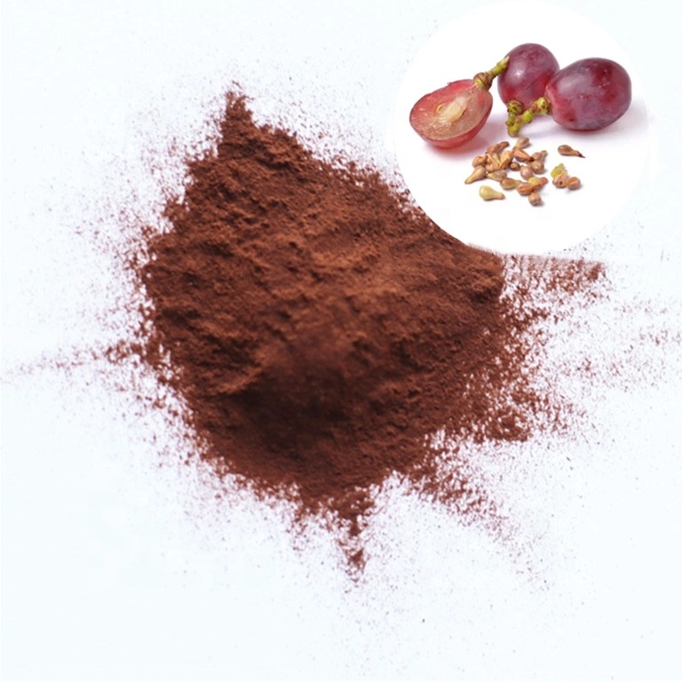 Anthocyanin Procyanidine Grape Seed Extract Brown Red Powder CAS 84929-27-1