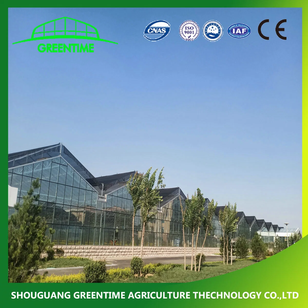 Best Quality Venlo Type Galvanized Steel Structure Glass Greenhouse with Heating System for Hydroponics/Strawberry/Vegetables/Flowers/Tomato/Pepper