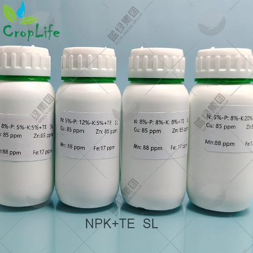 Высокое качество для гербицидов Bensulfuron 30%Wp, CAS № 83055-99-6