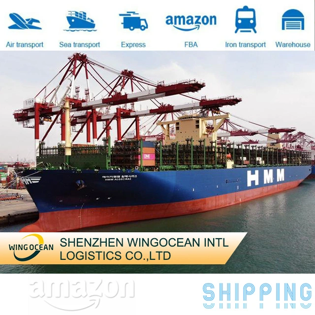 2023 Schnelle Logistik Versand Transport Service Sea DDP Versand ab China in die USA/Kanada/Europa