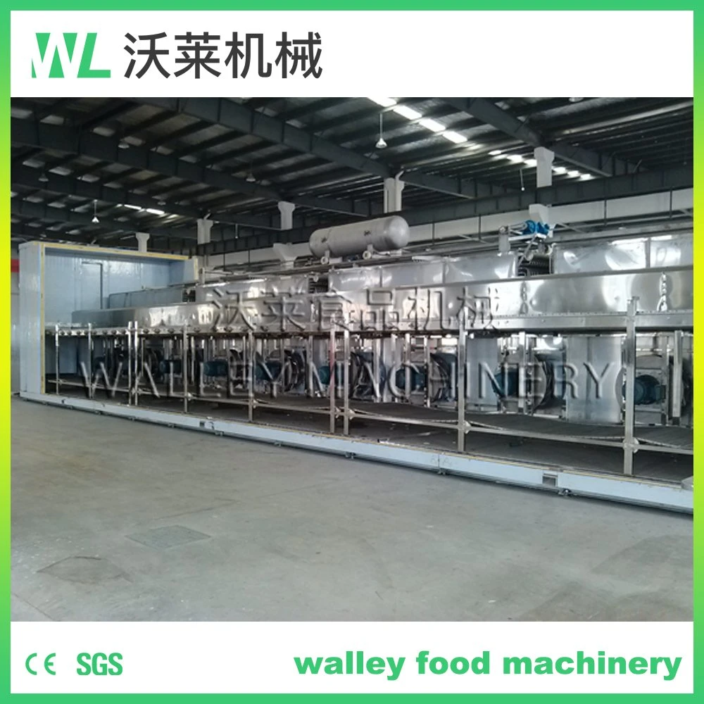 4000kg Stainless Steel Quick Freezer IQF Machine for Berries and Fruits