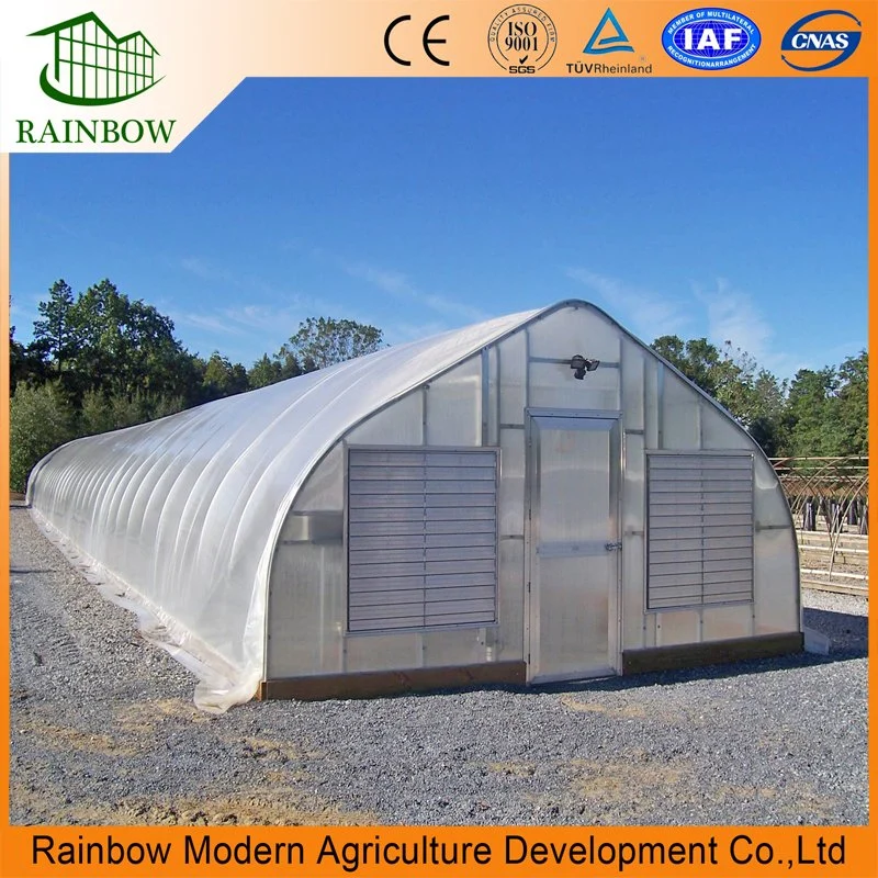 150/200 Micron Film Single Span Poly Tunnel Greenhouse