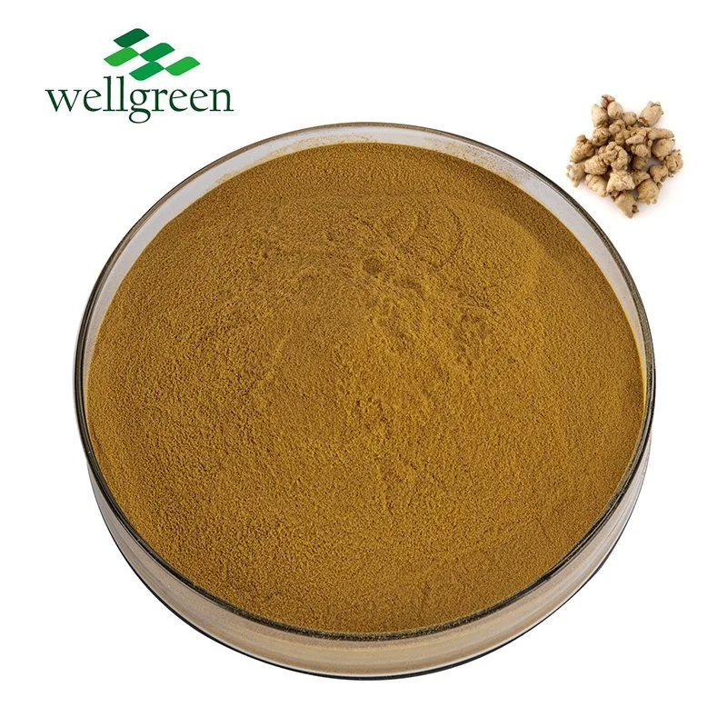 Hierbas en Polvo de Sanchi Notoginsenosides Rhizoma raíz Ginsenoside 95 Radix Extracto Notoginseng