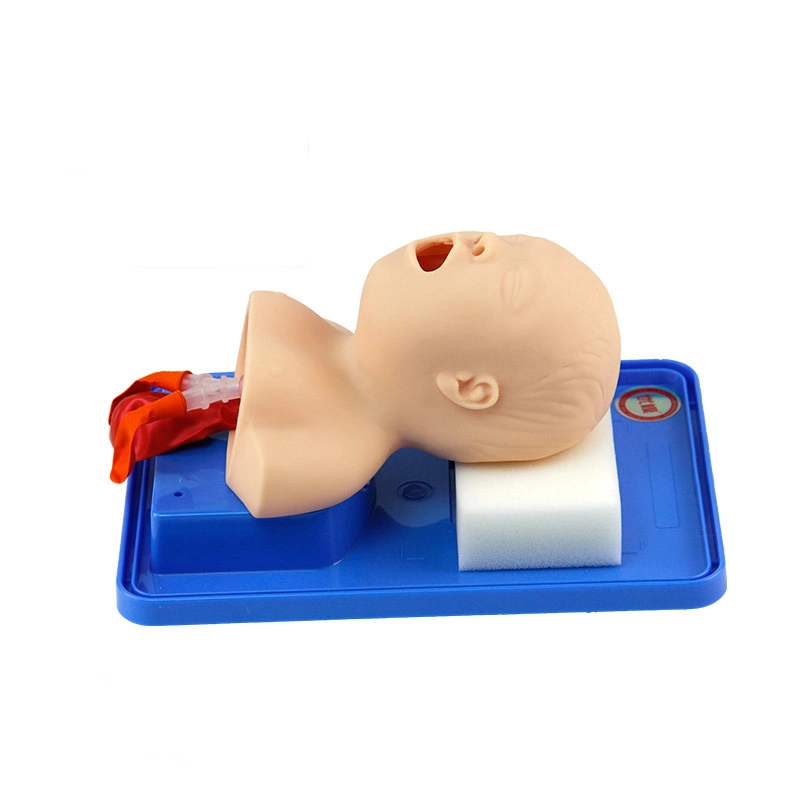 Good Price Classical Intubation Training Model