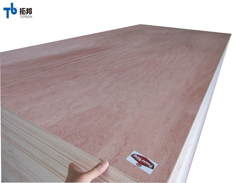 Poplar Okoume/ Bintangor/ Birch Veneered Commercial Plywood