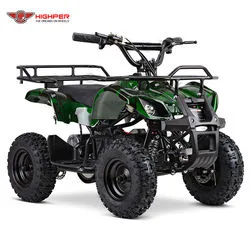 Nuevo Electric Quad ATV para niños 500W/800W/1000W 36V12Ah