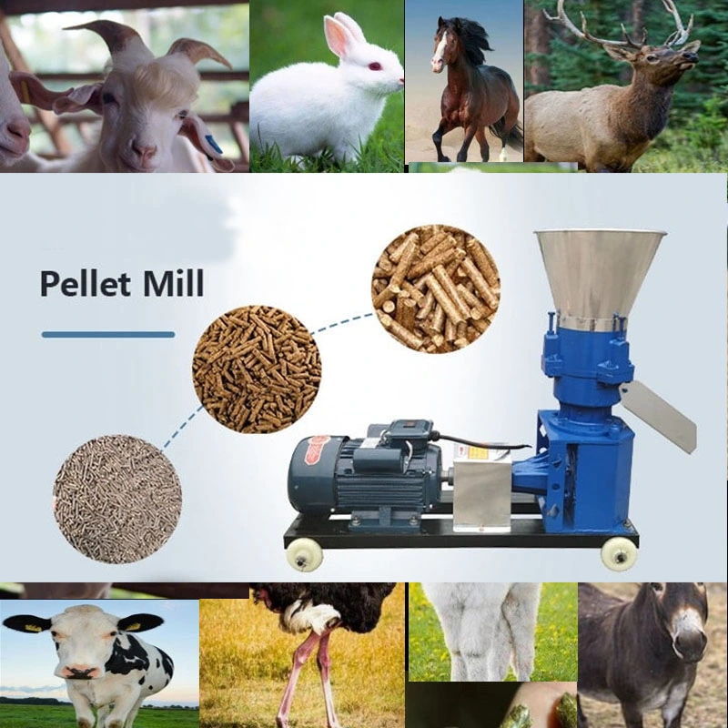 Máquina de alimentação animal Diesel Pelletizer linha de processamento fábrica Flat Die Pellet de alimentação de utilização dupla para serragem de suínos Máquina com motor a diesel Motor elétrico