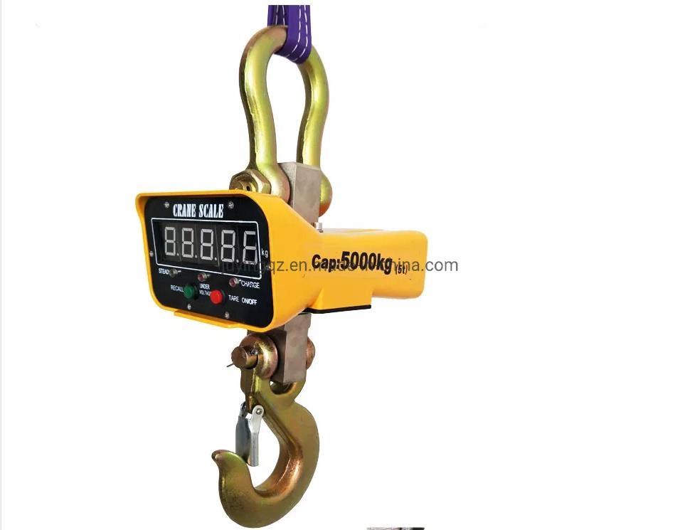 Factory Supply 5ton Industrial Platform Crane Weighing Balance Scale