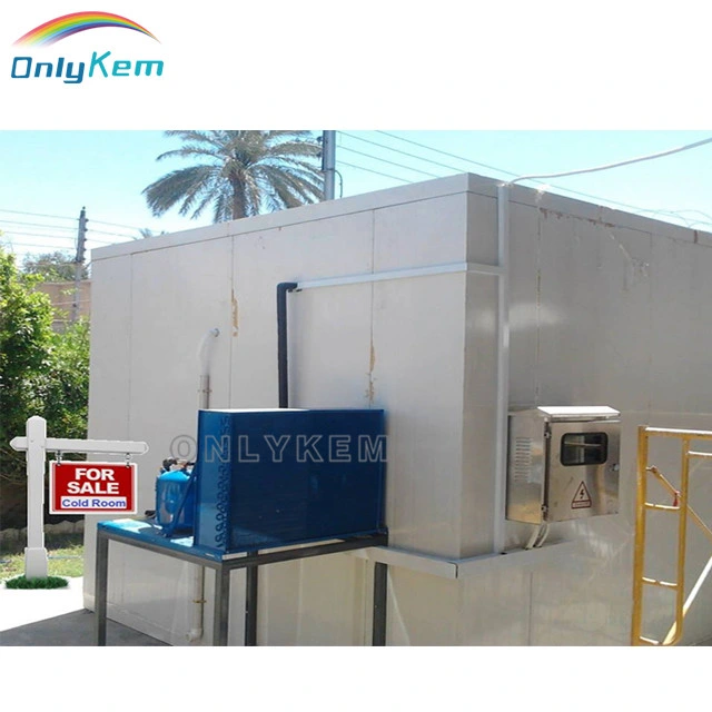 Portable Walk-in Cold Rooms for Kitchen Freezer Room Cooling Fridge Freezer Cold Storage Room for Food 10*10*10FT