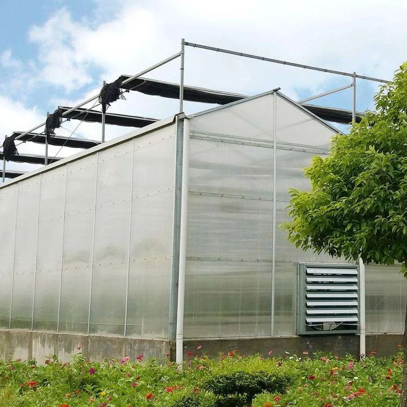 Casa Verde de policarbonato Sistema de hidroponia para produtos hortícolas