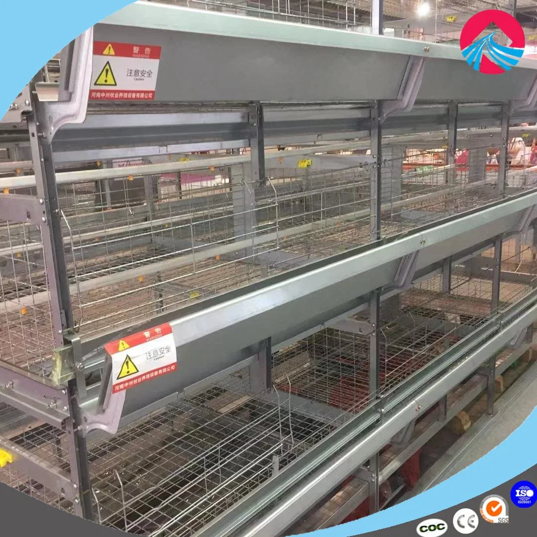 Tipo H automática de las aves de corral de jaulas en batería para la capa pollo granja avícola