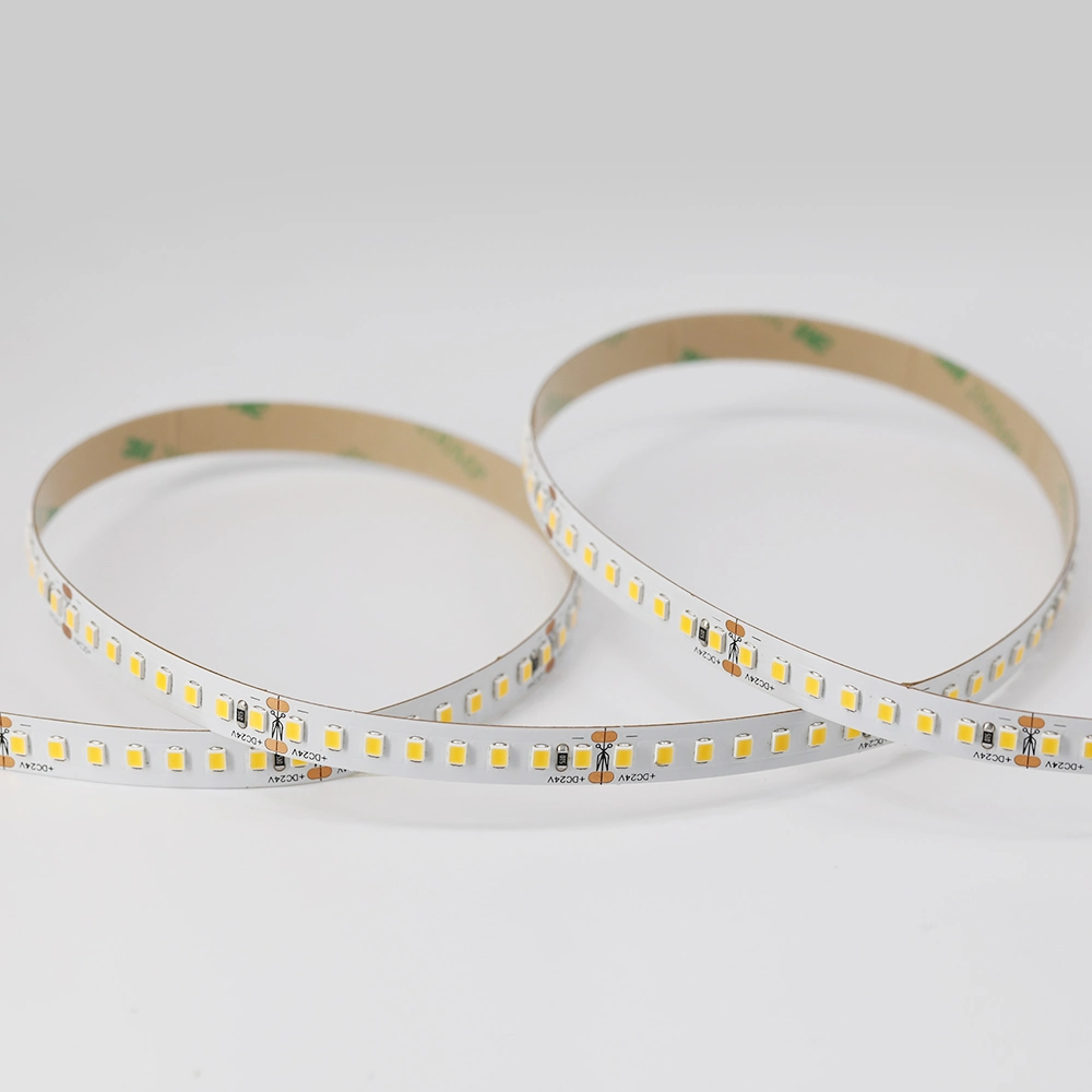 High Lumens 12V 24V IP67 Waterproof Indoor Decorated SMD 2835 LED Light Strip