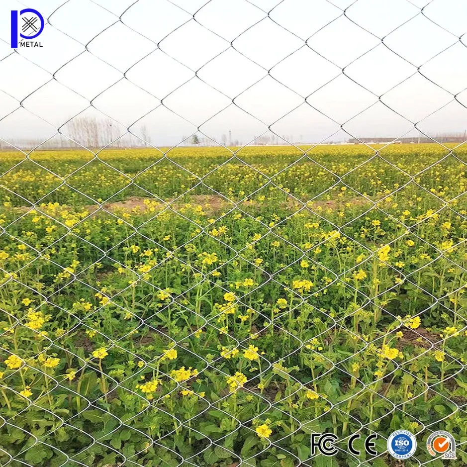 Pengxian Chain Link Diamond Fence China Manufacturing 1.8mm - 3.0mm Diameter Garden Chain Link Fence Used for Galvanised Steel Fencing