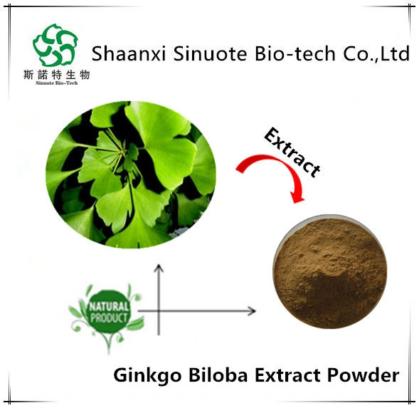 заводская цена 100% натуральные Ginkgo Biloba Extract 24/6