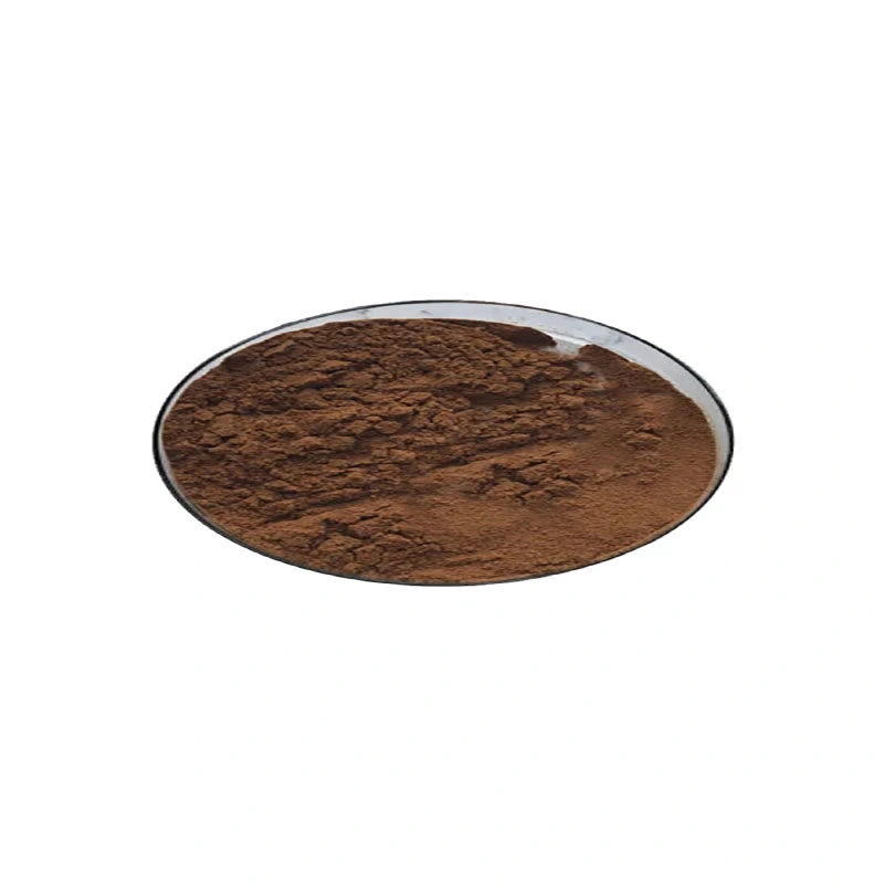 Wholesale/Supplier Factory Price Sparassis Crispa Extract Pure Sparassis Crispa Extract Powder