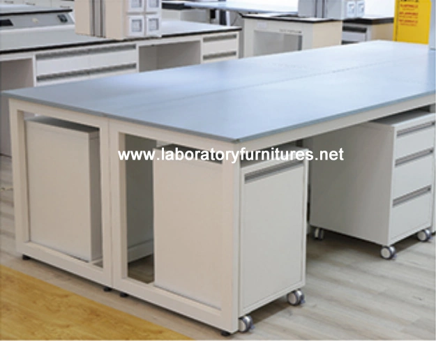 Factory Direct Selling Customizd Lab Furniture with Advanced Ceiling mounted Functional Column