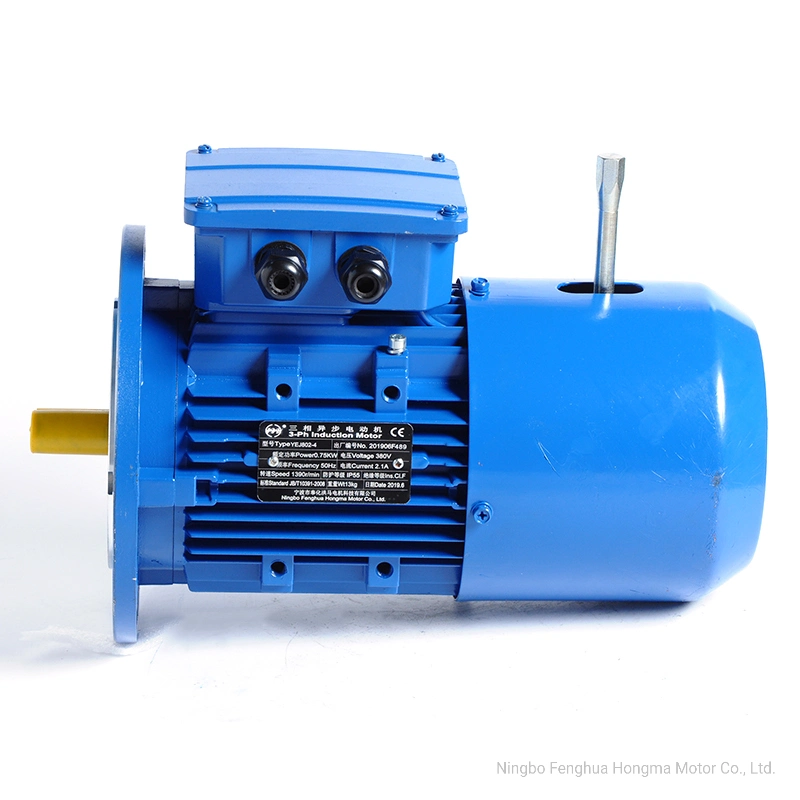 DC Motor/Three Phase Electro-Magnetic Brake Induction Motor with 4pole-0.12kw