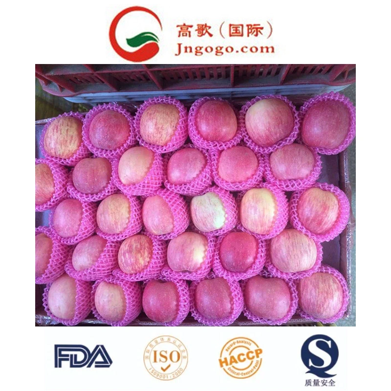 High quality/High cost performance  for Exporting Fresh Chinese FUJI Apple