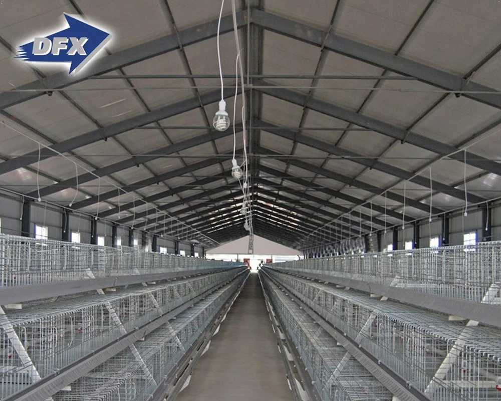 Industrial Prefabricated Light Steel Structure for Poultry Chicken House