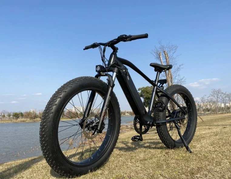 Hybrid Elctric Bicicleta de Montaña Ebike neumático Fat