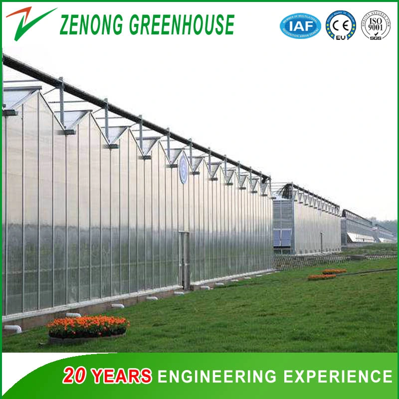 Sunlight Greenhouse with Intelligent Device for Modern Agriculture Seed Breeding Cultivation