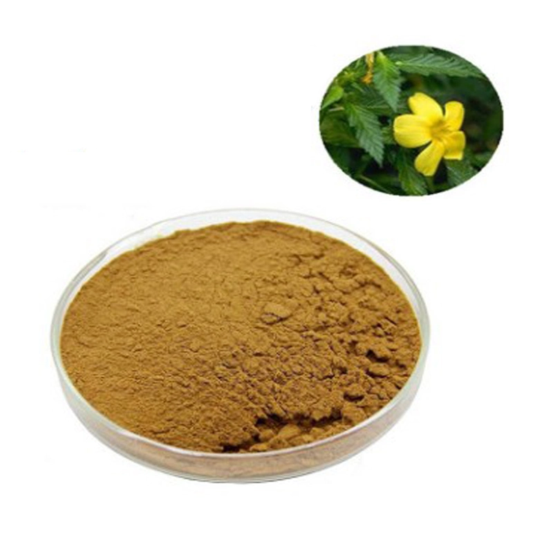 Damiana Leaf Extract 10: 1 50: 1 100: 1 200: 1 Powder