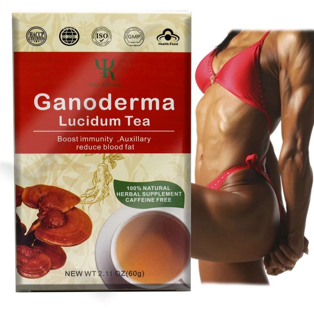 OEM Boost imunidade Ganoderma Lucidum Chá suplemento de alimentos Herbal melhorar Saúde