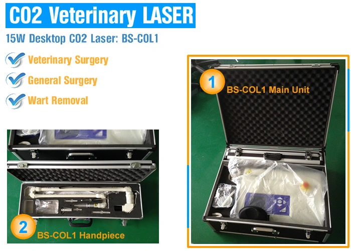 Surgical CO2 Laser System Portable CO2 Surgical Fractional Laser Treatment Machine