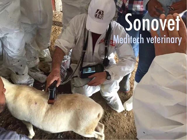 Veterinary Ce Approved Handheld Ultrasound Scanner