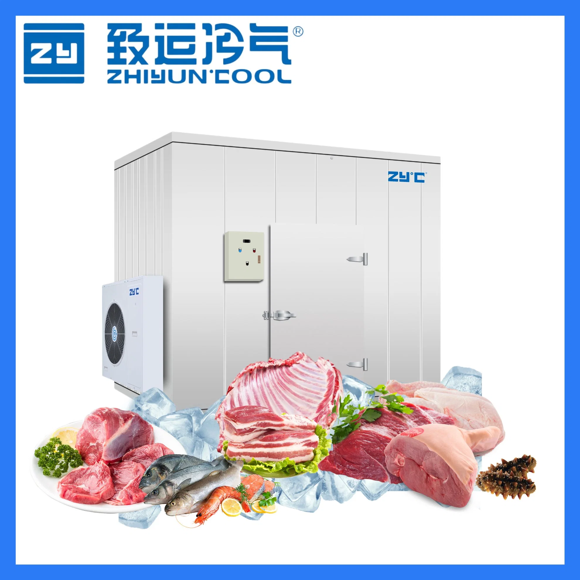 Zyc Walk-In Cold Storage Room Freezer carne mariscos Medicina Química Hielo congelación rápida Sala de almacenamiento en frío