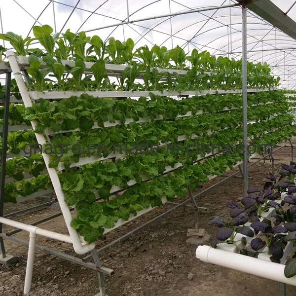 PVC Pipe Hydroponic System Agricultural Parts Greenhouses for Lettuce Vegetables