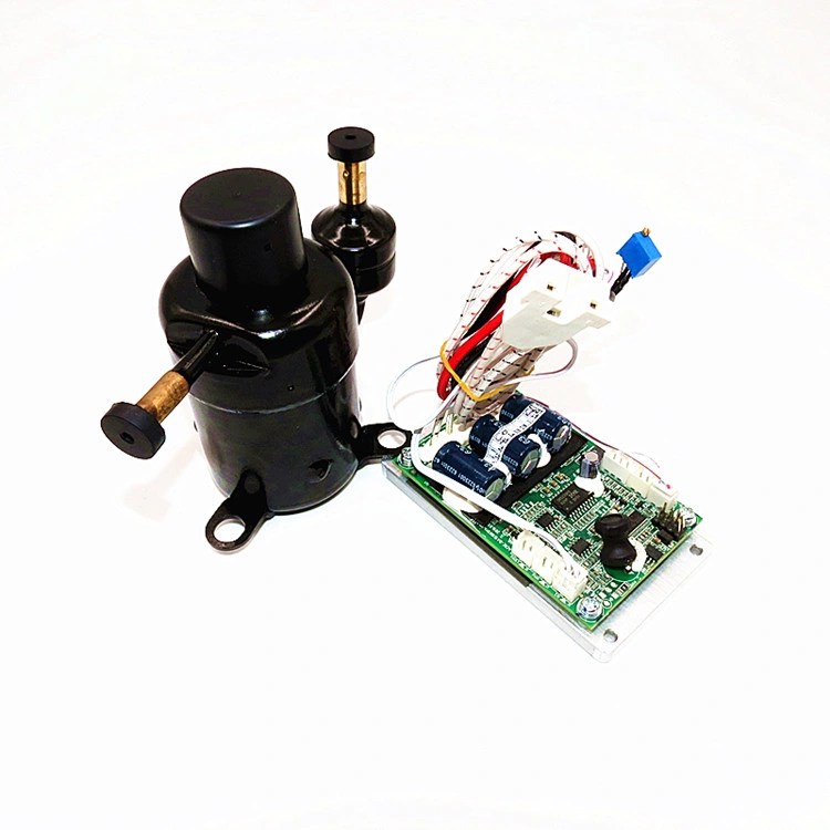 Fs R134A 12V 24V Electric Mini DC Rotary Water Cooler Compressor for Micro Clima Air Conditioning