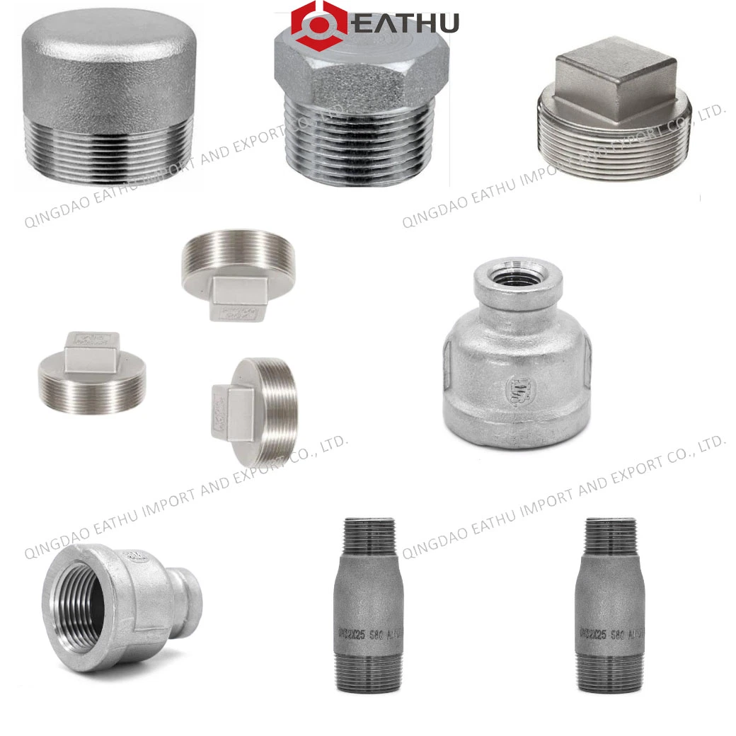 Threaded /Socket Welding Forged Ss Stainless/CS Carbon Steel High Pressure Pipe Fittings