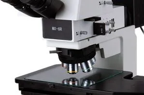 Microscopio de interferencia diferencial de Dic