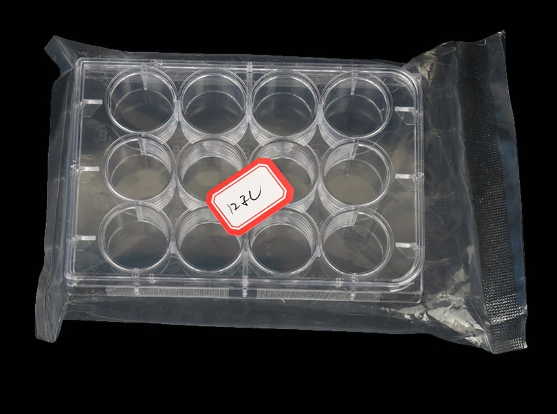 Plastic White Tc Treated12 Well, 24well, 48well, 96 Well Cell Flat Bottomcell Culture Plate, 6 Well/ 12 Well/ 24 Well/ 48 Well/ 96 Well, Dnase & Rnase Free