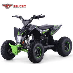 Mini quad électrique ATV 4 roues pour enfants Quad Bike 1000W36V/1300W 48V