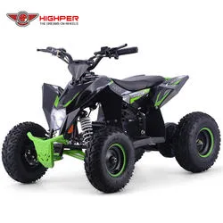 Electric Mini ATV 4 Wheeler for Kids Quad Bike 1000W36V/1300W 48V