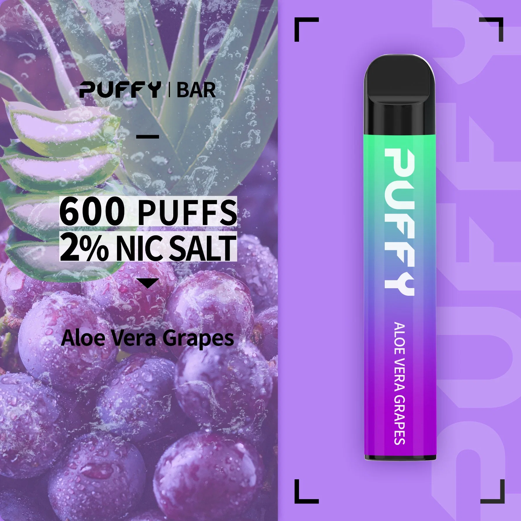 2022 mejor calidad más populares Mini VAPE 600 Puffs NIC SAL 2% Disposable/Chargeable cigarrillo electrónico Aloe Vera uva Flavored