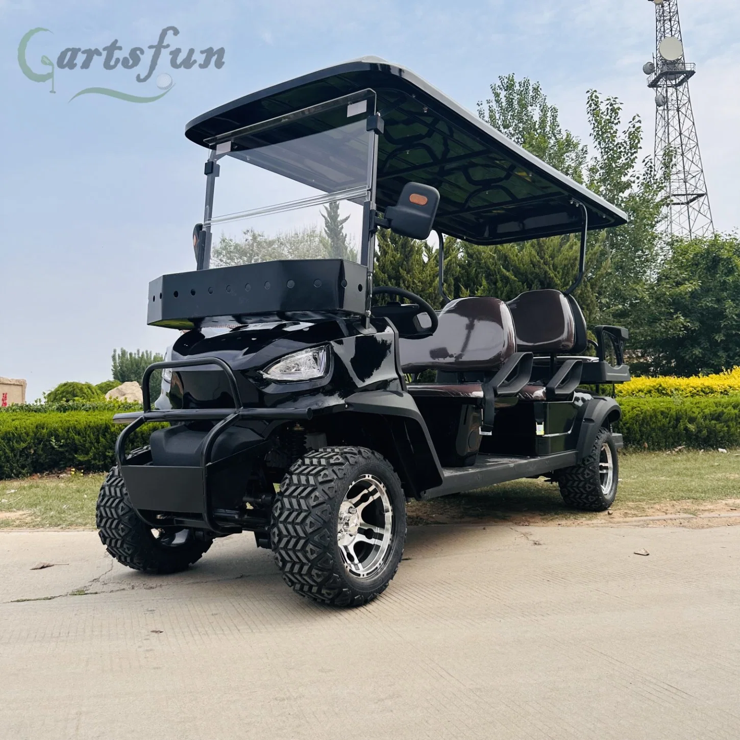 Batería de litio Powered 6 8 10 persona CARRITO DE GOLF ELÉCTRICO