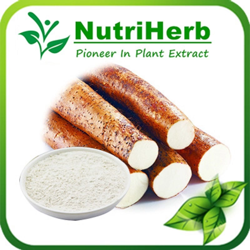 Bulk Supply High Quality Yam Extract, Yam Powder, Wild Yam Powder