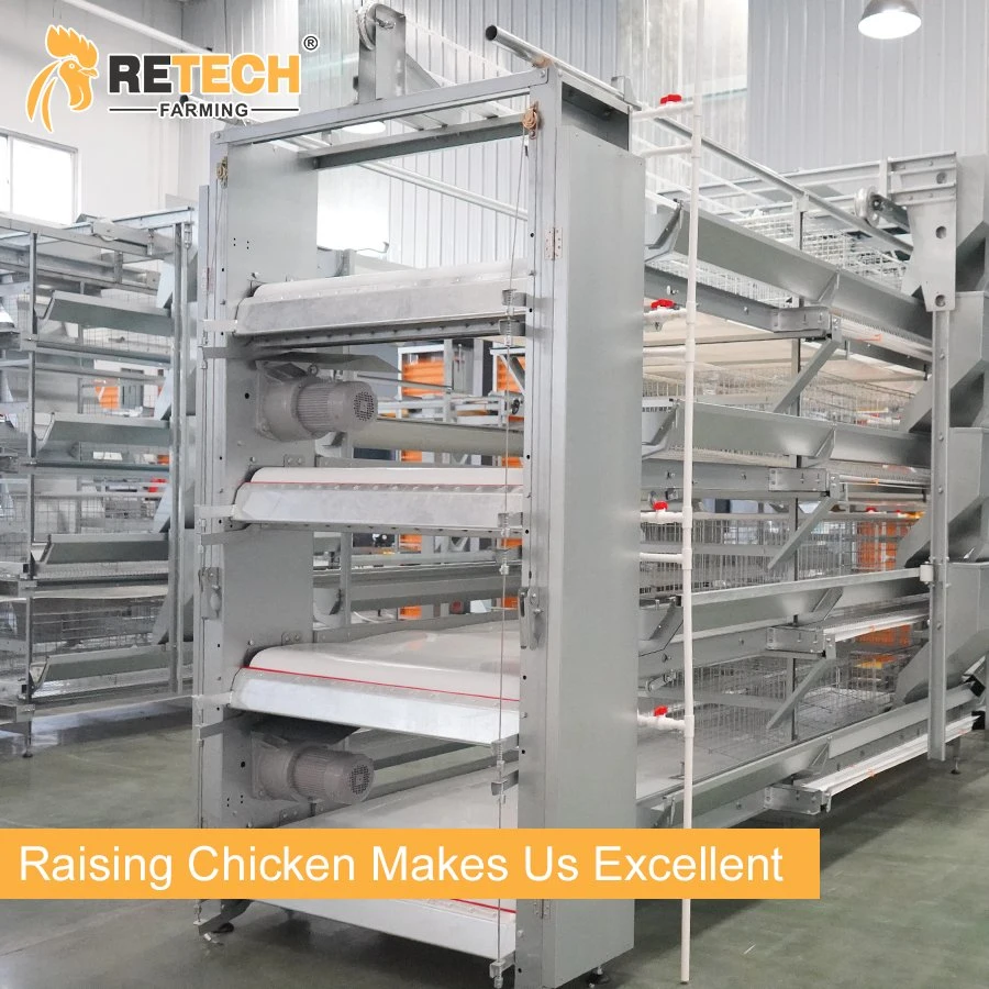 New Design Hot Sale Poultry Farm Equipment for Layer Chicken Cage